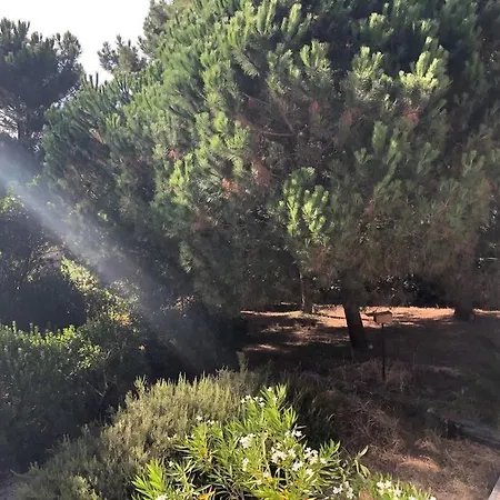 Villa Arethuse - Sur