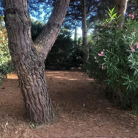 Arethuse - Sur Pyla Sur Mer