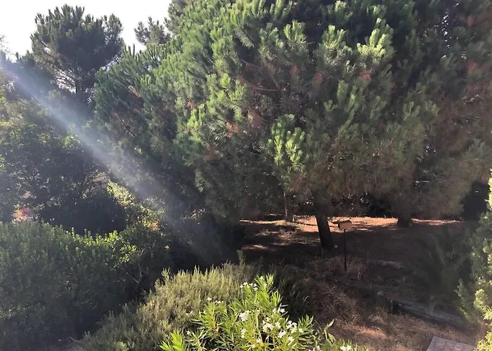 Villa Arethuse - Sur