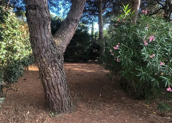 Arethuse - Sur Pyla-sur-Mer